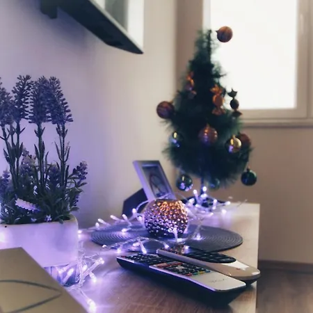 Srdjan Apartment